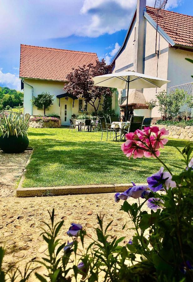 Holiday House Apartments Dajcic Varazdinske Toplice Buitenkant foto
