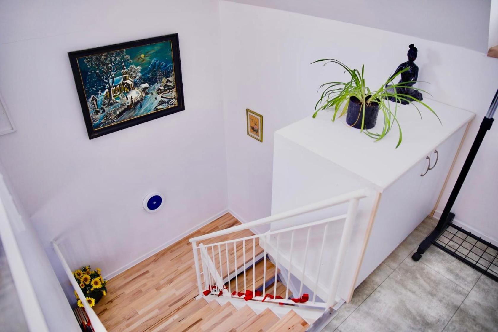 Holiday House Apartments Dajcic Varazdinske Toplice Buitenkant foto