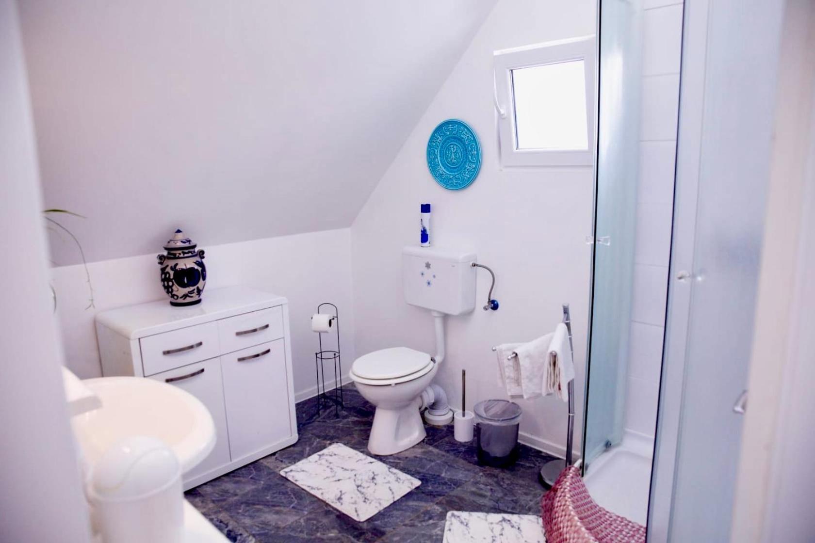 Holiday House Apartments Dajcic Varazdinske Toplice Buitenkant foto