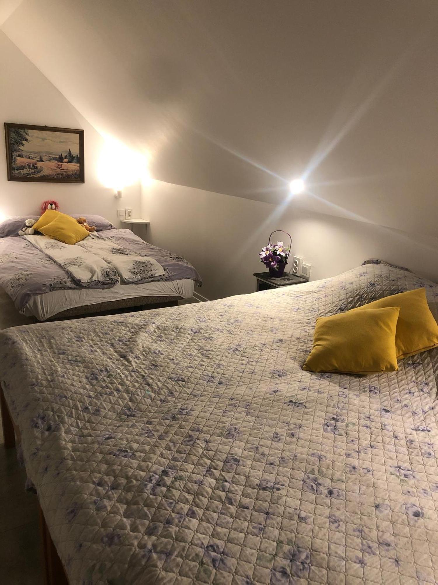 Holiday House Apartments Dajcic Varazdinske Toplice Buitenkant foto